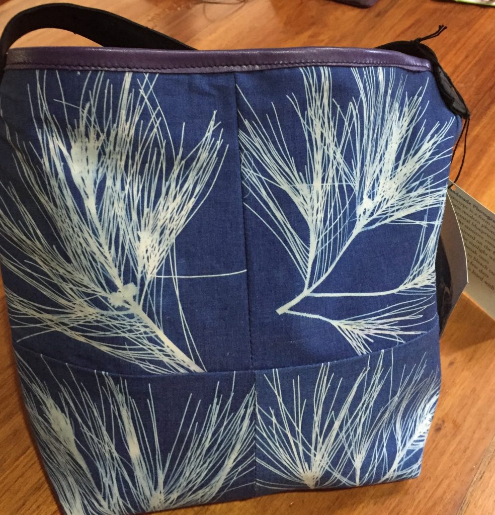 $100 cyanotype with sheoak branches
